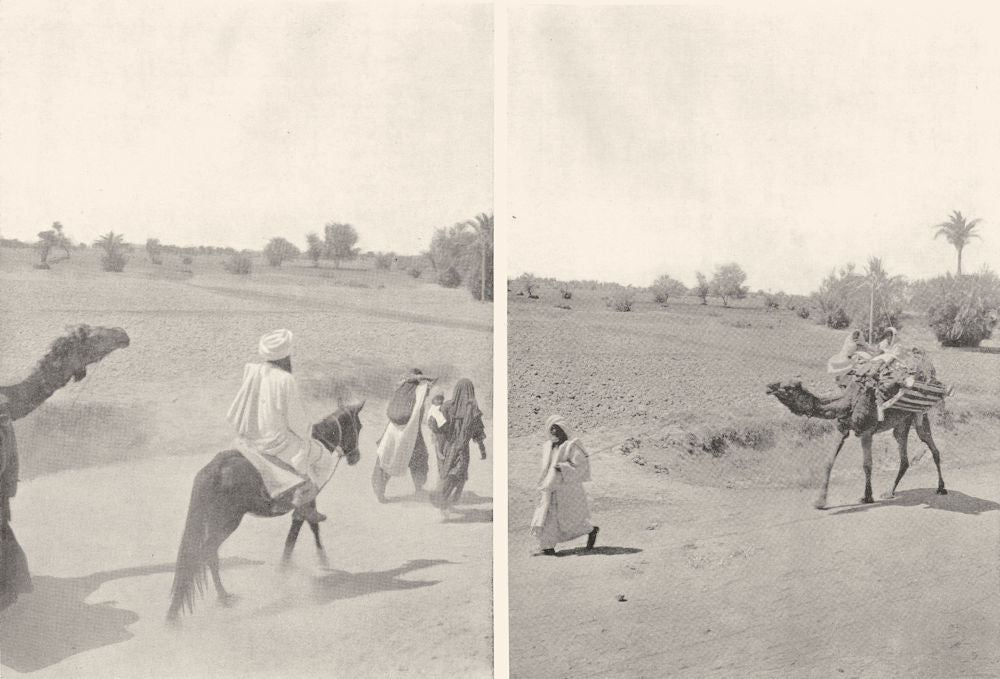 PAKISTAN. Travelling in Baluchistan; family on the march 1900 old print